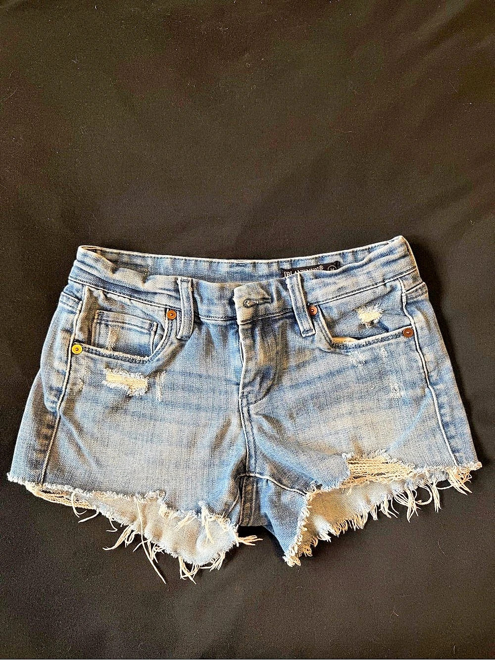 Blank NYC The Astor Distressed Denim Jean Shorts